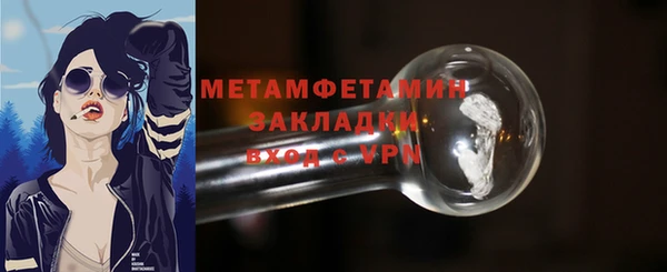 прущие грибы Грязи