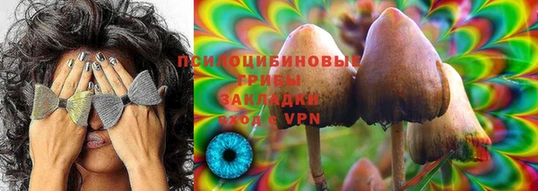 прущие грибы Грязи