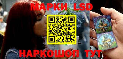 a pvp Гатчина