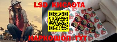 a pvp Гатчина