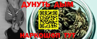 a pvp Гатчина